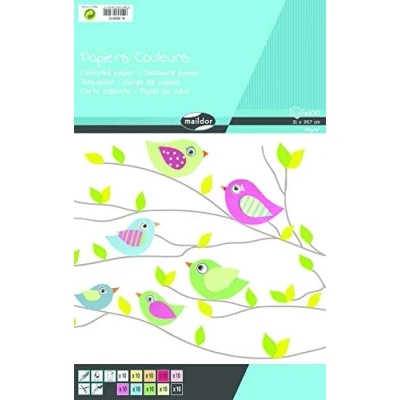 Image de Clairefontaine 26501C Bloc de 100 Feuilles Papier Couleur Format A4 (21x29,7cm) 80g/m² pour Bricolage et Dessins Loisirs Créatifs Enfants Adultes 10 Couleurs Assorties x10 Fles