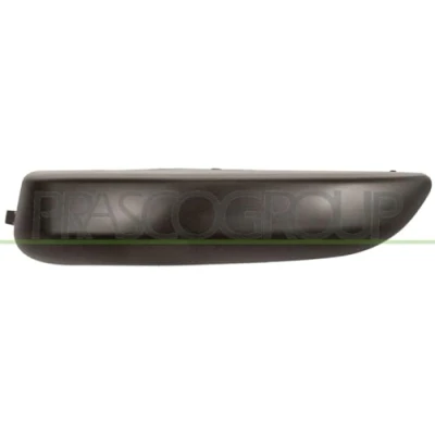 Image de Baguette et bande protectrice, pare chocs PRASCO PG4241244