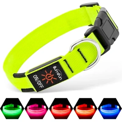 Image de Illumifun Collier de sécurité Lumineux à LED Rechargeable par USB en Nylon pour Rendre Votre Chien Visible et dans l&#039;obscurité (Vert, Taille M)