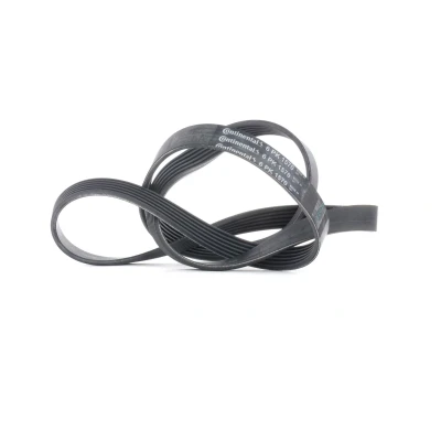 Image de CONTITECH 6PK1570 Courroie Poly V 1570 6 AUDI: A4 B7 Avant, A6 C6 Berline, BMW: 5 SUZUKI: Grand Vitara 1 SUV