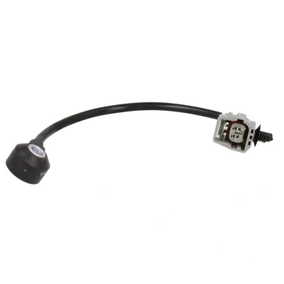 Image de DELPHI AS10200 Capteur de cognement FORD: MONDEO 3, Focus 2, FIESTA 5, MAZDA: 3 5 portes, MPV 6 3/5 NISSAN: Maxima V QX Berline