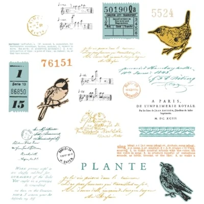 Image de Sizzix 49 and Market Tampons transparents A5 avec cadre Motif oiseau