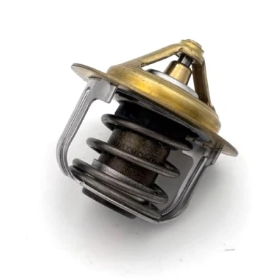 Image de Thermostat d&#039;eau CALORSTAT by Vernet TH5076.82J