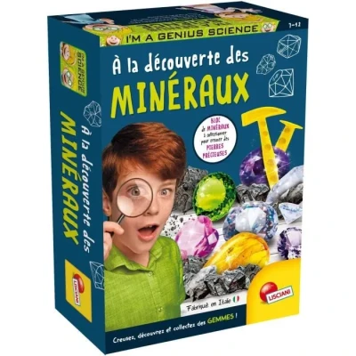 Image de Lisciani Jouet, FR100200, Multi, Taille Unique
