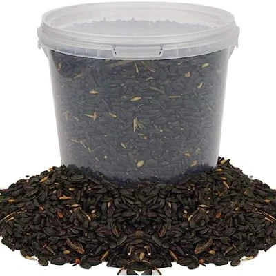 Image de Graines de Tournesol Noir BusyBeaks Nourriture Riche en Huile pour Oiseaux Sauvages Jardin occupés (2.5L)