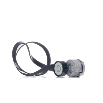 Image de RIDEX 542R0125 Jeu de courroies trapézoïdales à nervures PEUGEOT: 3008 I, 308 I 3/5 portes, 407 Berline, CITROËN: Jumpy II Van, C5 3, C4 5 portes