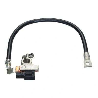 Image de HELLA 6PK 010 562 941 Capteur, Gestion des batteries