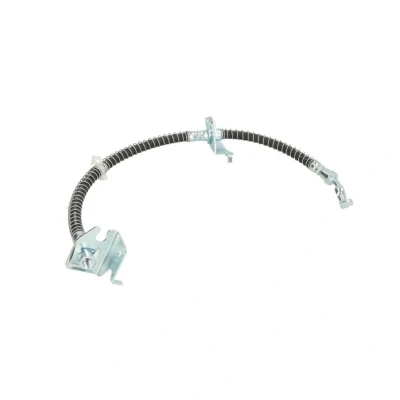 Image de DELPHI LH0405 Flexible De Frein 500 M10x1 Int SF LAND ROVER: Discovery 1, 2