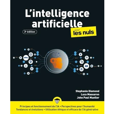 Image de L&#039;Intelligence artificielle pour les Nuls 3e édition (Broché)
