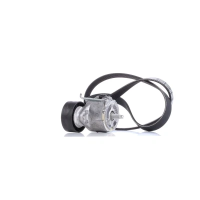 Image de DAYCO KPV110 Jeu de courroies trapézoïdales à nervures FIAT: 500 C Cabriolet, Punto Evo 3/5 portes, 3 LANCIA: Ypsilon II, Musa