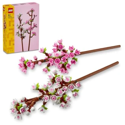 Image de Les fleurs de cerisier