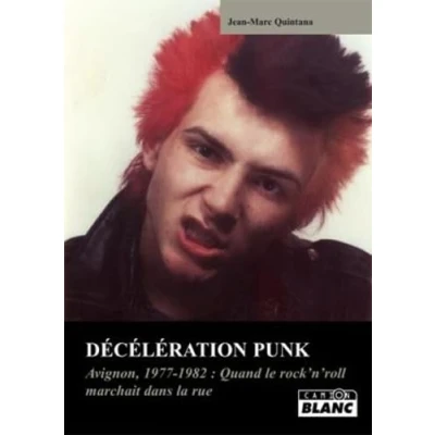 Image de DECELERATION PUNK Avignon 1977 1980 : quand les punks arpentaient rues de la ville