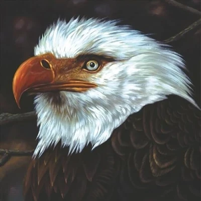 Image de The Hawk is Howling