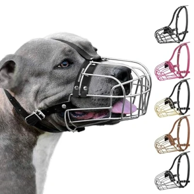 Image de BronzeDog Muselière pour Chien Pitbull en métal Amstaff Panier Fil de Fer Sangles réglables Cuir Grands Chiens