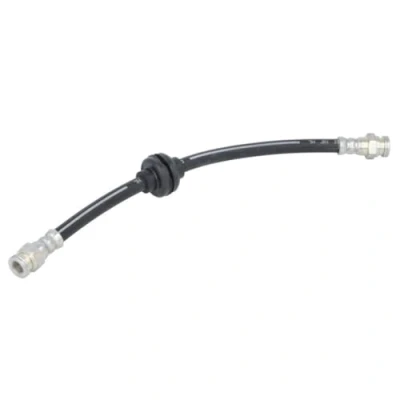 Image de DELPHI LH7719 Flexible De Frein 308mm M10x1 Int SF FIAT: BRAVO 2, Stilo Multi Wagon, 3/5 portes, LANCIA: DELTA 3