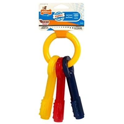 Image de Nylabone Jouet à mâcher pour chiots qui font leurs dents, en forme de clé, arôme bacon, les tout petits chiens/chiots (jusqu’à 7 kg), mâchouilleurs paisibles/qui dents.