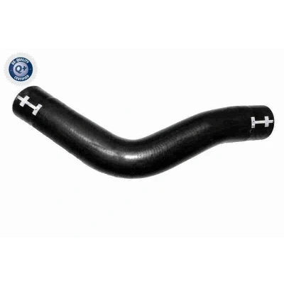 Image de VAICO V25 2293 Durite De Refroidissement Caoutchouc FORD: Transit Mk5 Van, Сamion à Plateau/Сhâssis, Minibus