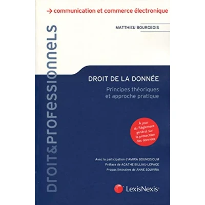 Image de Droit de la donnée: Principes théoriques et approche pratique Livre d’occasion Très bon