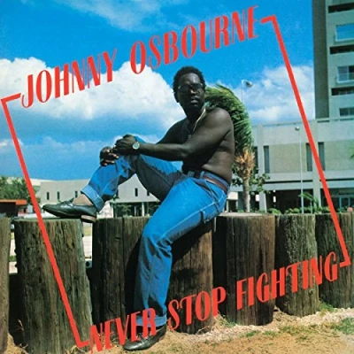 Image de Never Stop Fighting