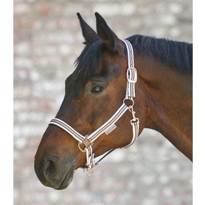 Image de Waldhausen Licol Shine Blanc/Rosé Full