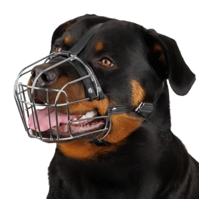 Image de BronzeDog Muselière pour Chien avec Sangles réglables en Cuir
