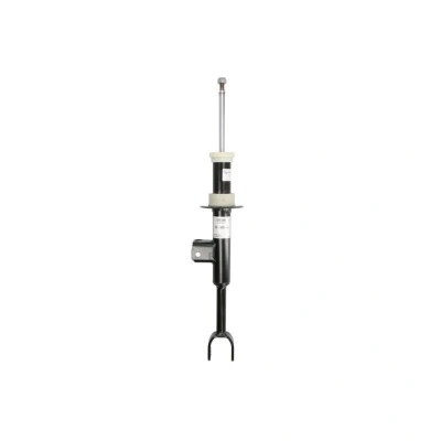 Image de SACHS 318 081 Amortisseur droit Pression de gaz Système bitube télescopique Goujon en haut, Fourche bas BMW: 5 Touring