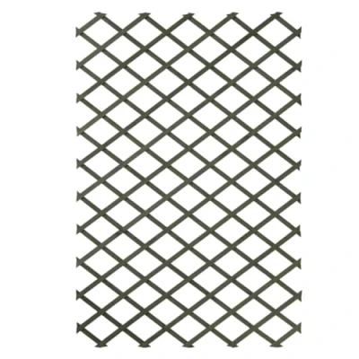 Image de Treillis extensible NATURE En bois FSC® coloré Vert 100 x 200 cm