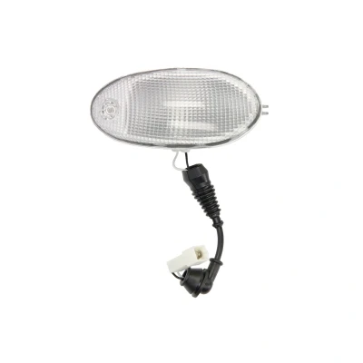 Image de Feux de gabarit DT Spare Parts 7.25322 Droite