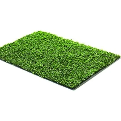 Image de Gazon Synthétique Linea Garden Friend Basique 8 mm 200 cm de hauteur 500 longueur UV traité