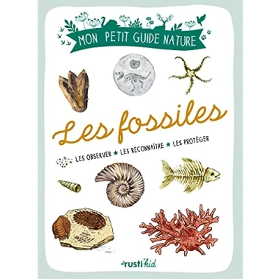 Image de Les fossiles: trouver identifier collectionner Livre d’occasion Correct