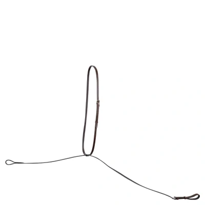 Image de BR Debout en cours d&#039;exécution martingale Hinckly Full Oak / Zilver