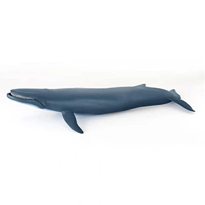 Image de Papo Grande figurine Baleine, Géant de la Mer, jouet pour Enfants dès 3 Ans Animaux marins 38.50 cm x 17.00cm Exploration Océanique et Sensibilisation à Vie Marine