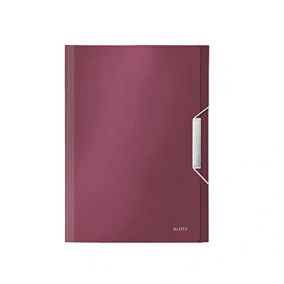 Image de Leitz Trieur en Polypro Grenat effet Brossé 39570028