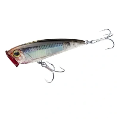 Image de Yo Zuri R1412 RMT : Popper 3D Inshore (F) 120 mm Real Mullet