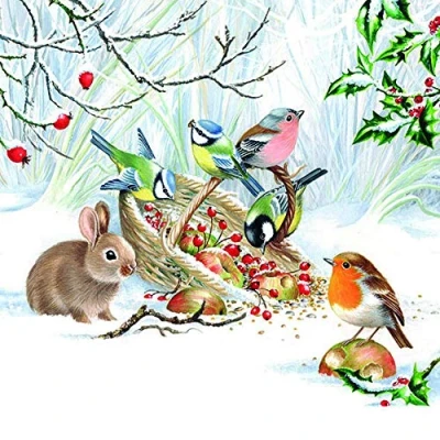 Image de Lot de 20 serviettes table Motif animaux d&#039;hiver lapin Oiseaux Décoration 33 x cm