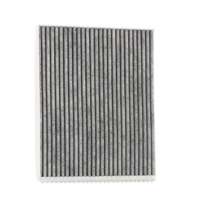 Image de RIDEX 424I0041 Filtre d&#039;habitacle à charbon actif 266 218 21 FIAT: Punto Evo 3/5 portes, Grande Doblo II Break, OPEL: Adam