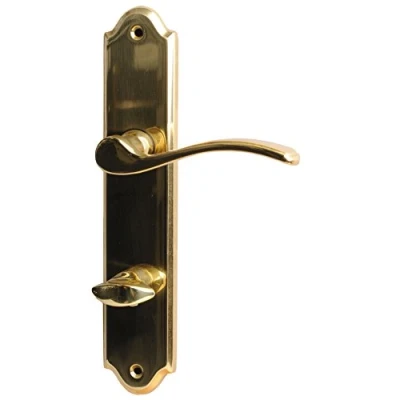 Image de Alpertec pour oiseaux lori laiton poli lS poignée de porte wC, badtüren 32760083 r la marque haeusler shop
