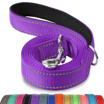 Image de Joytale Laisse Double Face Réfléchissante Robuste pour Chien, avec Poignée Rembourée,1.2m x 2cm,Violet