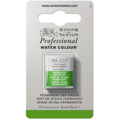 Image de Winsor &amp; Newton Aquarelle Professionnel Peinture Aquarelle, Haute Luminosité, Résistante à la Lumière, Qualité Archive, Demi Godet, Couleur Vert de Vessie Permanent