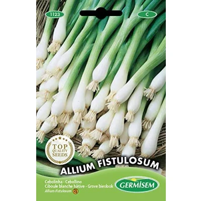 Image de Germisem graines Ciboule blanche hâtive ALLIUM FISTULOSUM