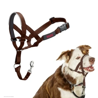 Image de Licol HALTI pour Que Votre Chien arrête de Tirer sur sa Laisse, Partie entièrement matelassée Le museau, Colliers Anti Traction Chiens Taille Moyenne (Taille 2, Brun Noisette)