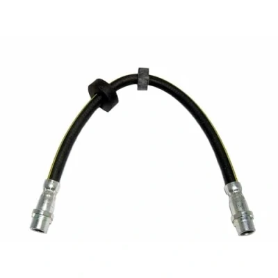 Image de DELPHI LH0111 Flexible De Frein 355 M10x1 Int SF VOLKSWAGEN: Transporter 4 Bus,