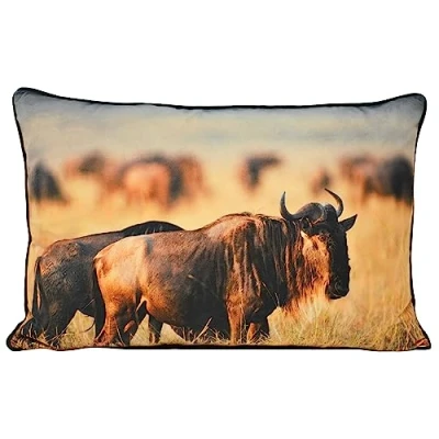 Image de Paoletti Coussin Garni de Polyester Gnou