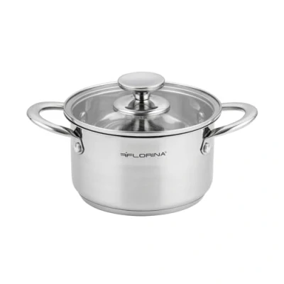Image de FLORINA Casserole en Acier Inoxydable (1,9 l) I 16 cm de Diamètre Économe Énergie FALCON Induction avec Couvercle Verre Inox Tout Feux