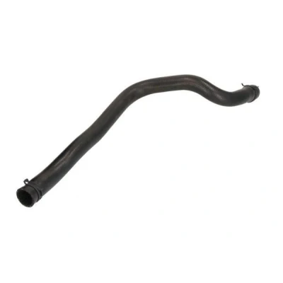 Image de THERMOTEC DWV004TT Durite De Refroidissement inférieur Caoutchouc VOLVO: V70 I, 850 Break, Berline
