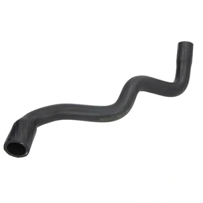 Image de THERMOTEC DNG024TT Durite De Refroidissement supérieur EPDM (éthylène propylène diène caoutchouc) FORD: Focus 2, C Max, Max