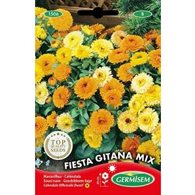 Image de Germisem Graines Souci nain FIESTA GITANA MIX