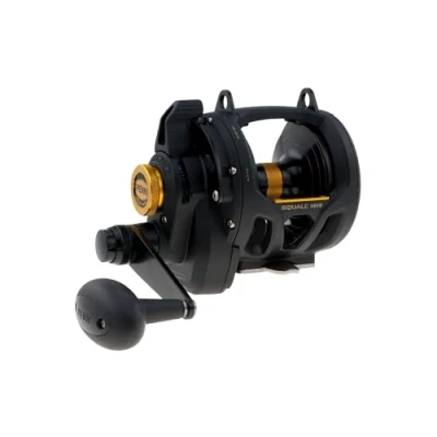 Image de Penn Squall 16Vs Lever Drag 2 Speed Moulinet casting