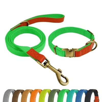 Image de Qianruida Collier Chien Tactique Laisse Ensemble Kit pour Chiens Moyens et Grands Vert Fluo,M
