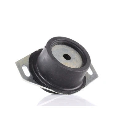 Image de DELPHI TEM065 Support moteur PEUGEOT: 308 I SW, 807, Partner Combispace, CITROËN: Xsara Break, C4 Grand Picasso, 5 portes, FIAT: Scudo II